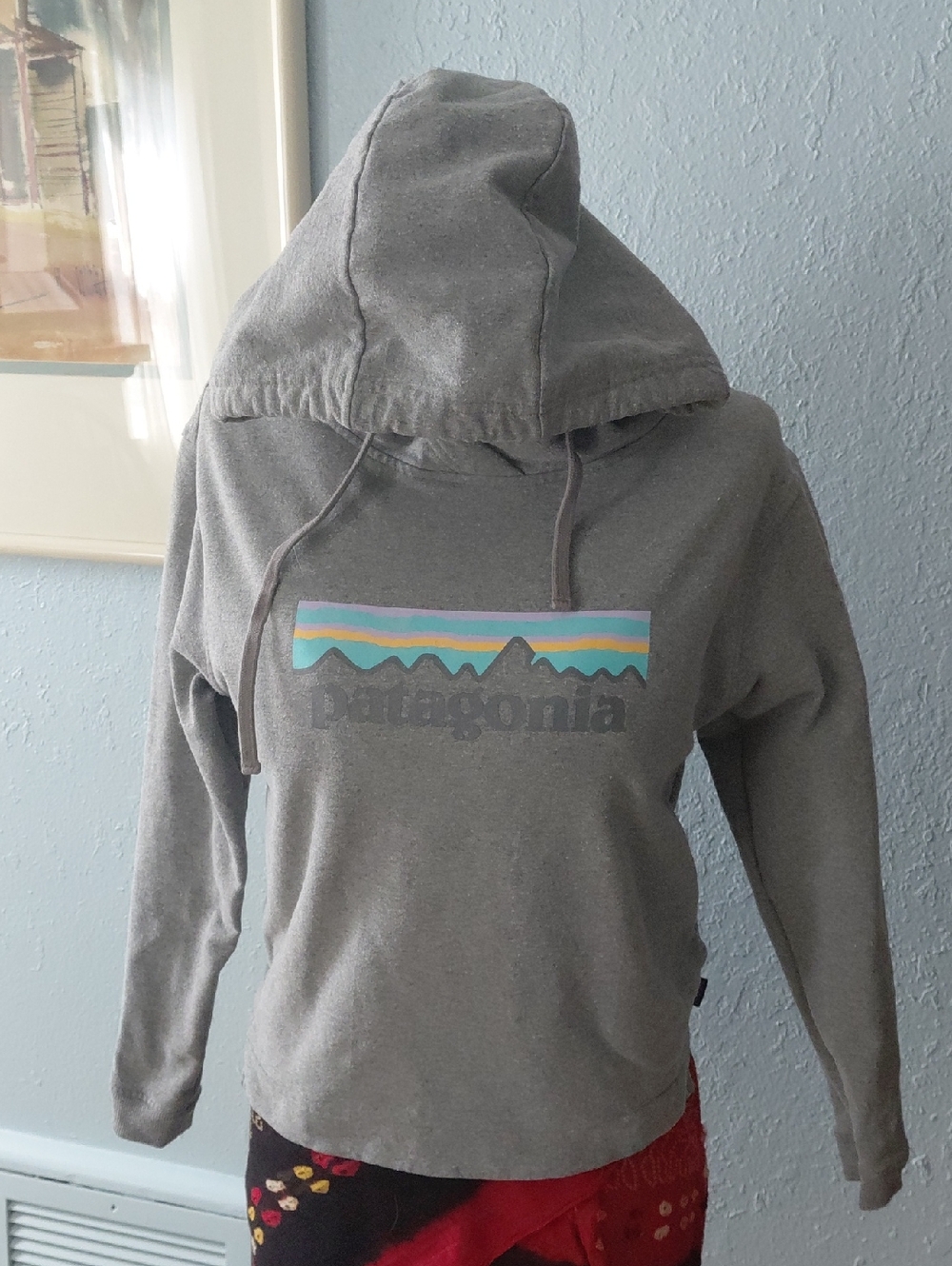 Patagonia Uprisal Gray Hoodie with Pastel Stripe Mountain Graphic